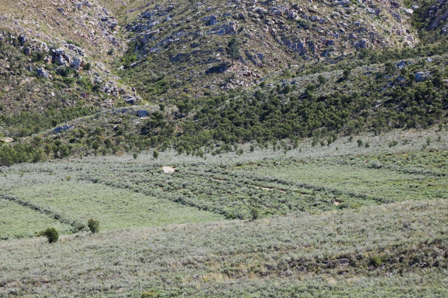 0 Bedroom Property for Sale in Uniondale Rural Western Cape